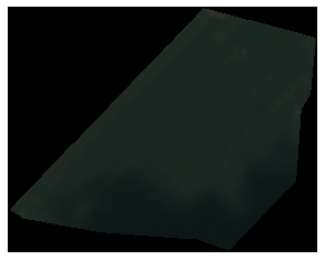 ../../_images/eocrops_examples_VHRS_data_55_0.png